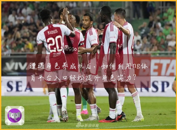 遭遇角色养成坑后，如何利用ng体育平台入口轻松提升角色实力？