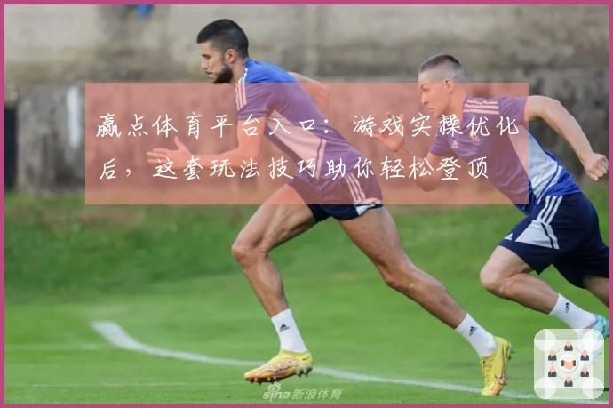 赢点体育平台入口：游戏实操优化后，这套玩法技巧助你轻松登顶