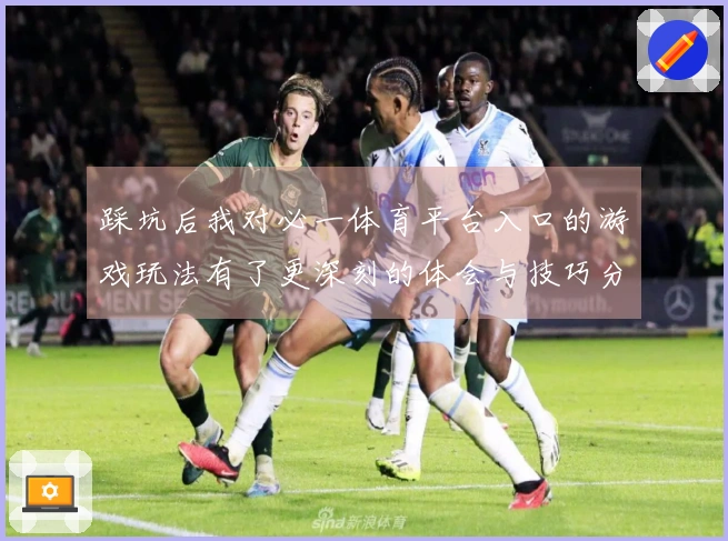 踩坑后我对必一体育平台入口的游戏玩法有了更深刻的体会与技巧分享